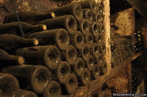 Dusty bottles in wine cellar