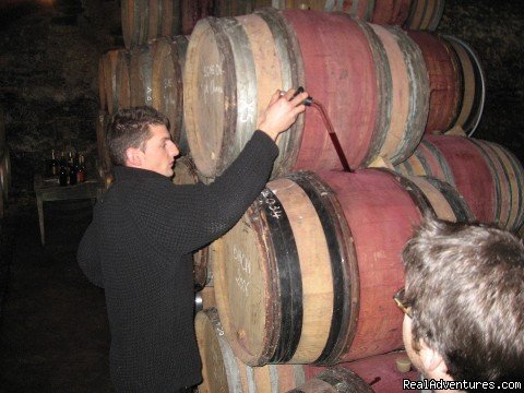Young winemaker in Cote de Nuits | Fabulous Wine and Food Tours in Burgundy | Image #11/13 | 