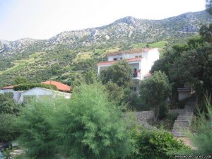Apartments Nikolica | Dingac , Croatia Vacation Rentals | Croatia Vacation Rentals
