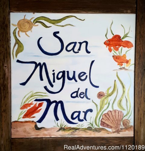 Welcome to San Miguel del Mar