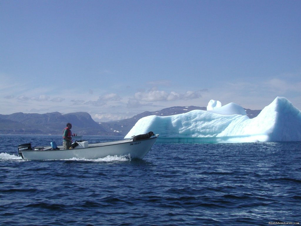 Springtime iceberg | Wildland Tours | St. John's, Newfoundland  | Sight-Seeing Tours | Image #1/21 | 