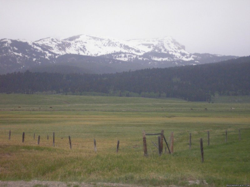 Lionshead Mountain | Fantastic Horseback Riding in Yellowstone Country | Image #9/15 | 