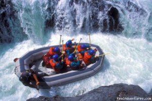 California Whitewater Rafting with All-Outdoors | Walnut Creek, California Rafting Trips | Adventure Travel Roseville, California
