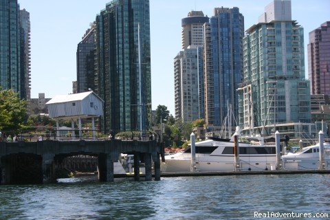 Coal Harbour Downtown Vancouver Luxury View condo | Image #10/10 | 