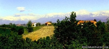 Mountain views from the Back | A beautifull Italian B&B set in the Asti Vineyards | Image #11/14 | 