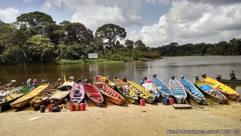 Canoes For A Visit To The Maroon Villages | 9 days guided package tour Guianas South America | Image #6/9 | 