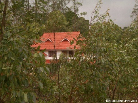 Front View | Luxury Homestay - Periyar Tiger Reserve, Thekkady | Thekkady, India | Bed & Breakfasts | Image #1/4 | 
