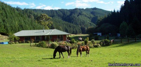Nutmeg Creek Country Homestay | Blenheim, New Zealand | Bed & Breakfasts | Image #1/1 | 