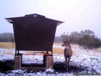 Trophy Whitetail | Rio Seco Ranch | Rocksprings, Texas  | Hunting Trips | Image #1/8 | 