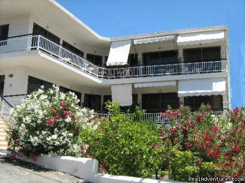 Hotel | Hotel Alexander Ideal place for a relaxing holiday | Aegina, Greece | Hotels & Resorts | Image #1/8 | 