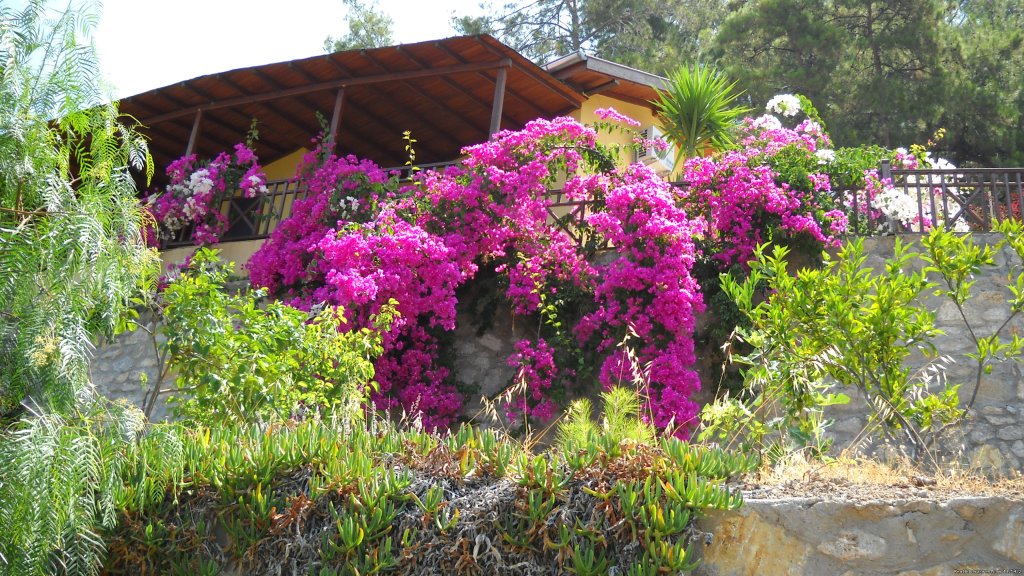 Front View | For Breathtaking Sea View and Complete Privacy... | Image #8/17 | 