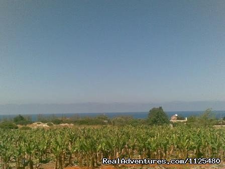 Akamas Peninsula So Near | Cyprus Walking, Trekking, Bike, Hotels & Apartment | Image #5/24 | 