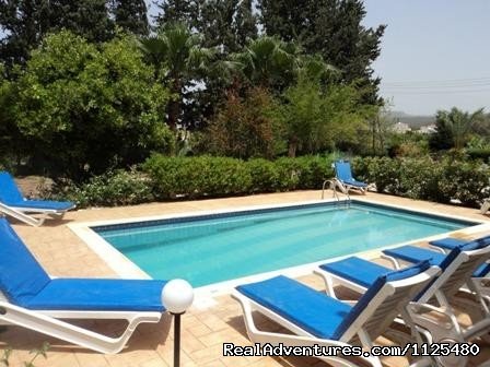 Exotic Big Garden With Pool | Cyprus Walking, Trekking, Bike, Hotels & Apartment | Image #11/24 | 