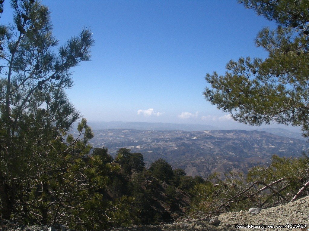 Our Unspoilt Island With Fantastic Nature | Cyprus Walking, Trekking, Bike, Hotels & Apartment | Image #17/24 | 