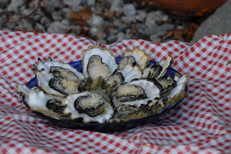 Oysters on the half-shell | Sea Kayak Tours Desolation Sound, British Columbia | Image #16/25 | 