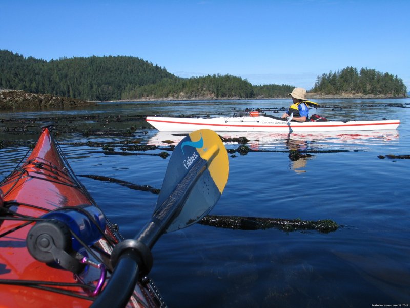 Kids Kayaking into Desolation | Sea Kayak Tours Desolation Sound, British Columbia | Image #22/25 | 