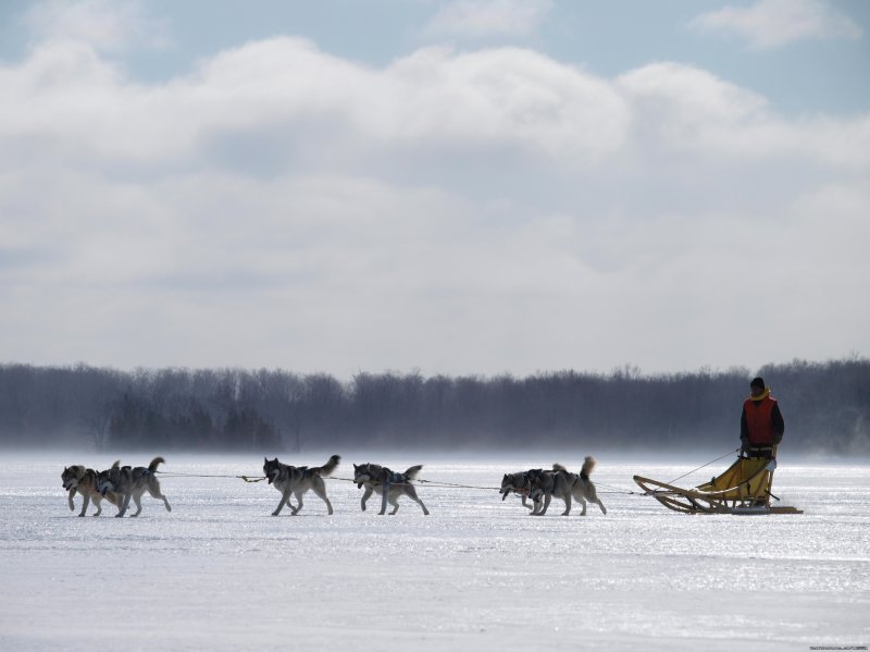 Sledding on the ice | Singing Dogs-Cabin Rentals | Image #5/6 | 