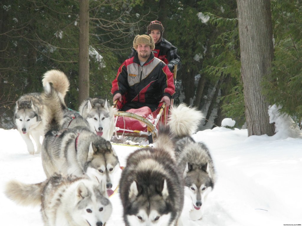 Sledding in the forest | Singing Dogs-Cabin Rentals | Image #4/6 | 
