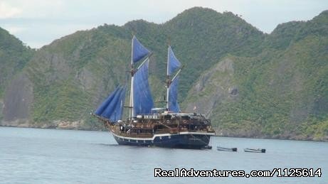 Felicia Liveaboard a Journey to Raja Ampat | Enjoy watching bird and Komodo Dragona nd Diving | Image #2/21 | 