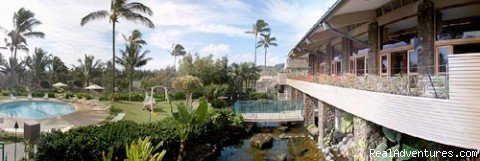 Kauai Pool | Aloha Beach Resort Kauai | Kauai, Hawaii  | Hotels & Resorts | Image #1/1 | 