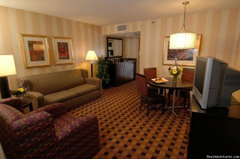 Suite Living Room | Embassy Suites Hotel Minneapolis-Airport | Image #2/8 | 