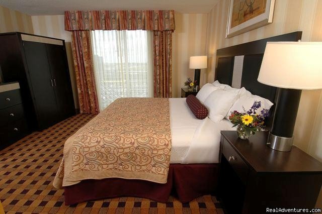 King Bed Suite | Embassy Suites Hotel Minneapolis-Airport | Bloomington, Minnesota  | Hotels & Resorts | Image #1/8 | 