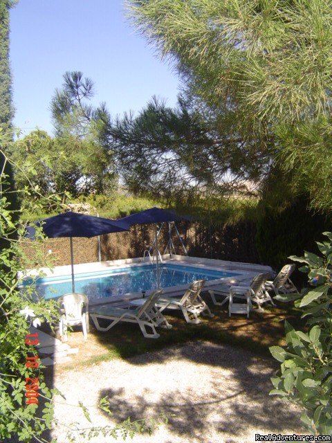 relax by the pool | Rural B&B in Murcia | Image #2/2 | 