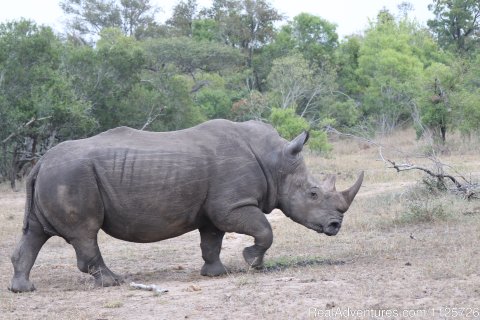 Conservation efforts protect South Africa's most vulnerable