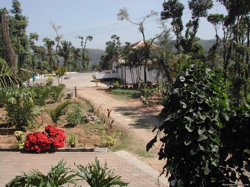 View from Planters Bungalow1 | Devagiri Retreat Homestay Bed&Breakfast Sakleshpur | Image #4/19 | 
