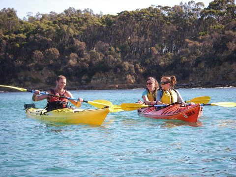 Come on a Sea Kayak tour with Bay and Beyond on lake, ocean, or river. Year round tours visiting pristine coastal environments under the power of your own paddle. Kayak & SUP rentals avail.Since1999.. we are the South Coast's original kayak business.
