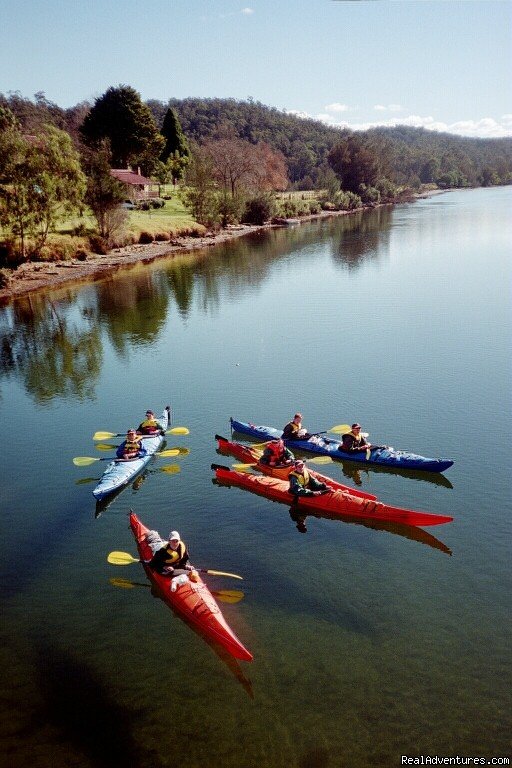 Exploring the local rivers | Kayaking Tours on the South Coast of NSW | Image #2/2 | 