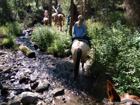 Scenic Horseback Riding | The Ultimate Dude Ranch Vacation | Image #5/8 | 
