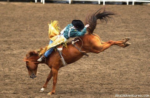 Cody is Rodeo | The Ultimate Dude Ranch Vacation | Cody, Wyoming  | Horseback Riding & Dude Ranches | Image #1/8 | 