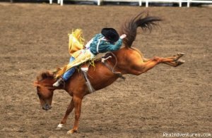 The Ultimate Dude Ranch Vacation | Cody, Wyoming Horseback Riding & Dude Ranches | Cody, Wyoming