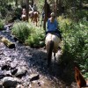 The Ultimate Dude Ranch Vacation Scenic Horseback Riding
