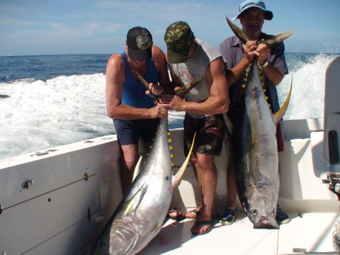 More Yellowfin Tunas