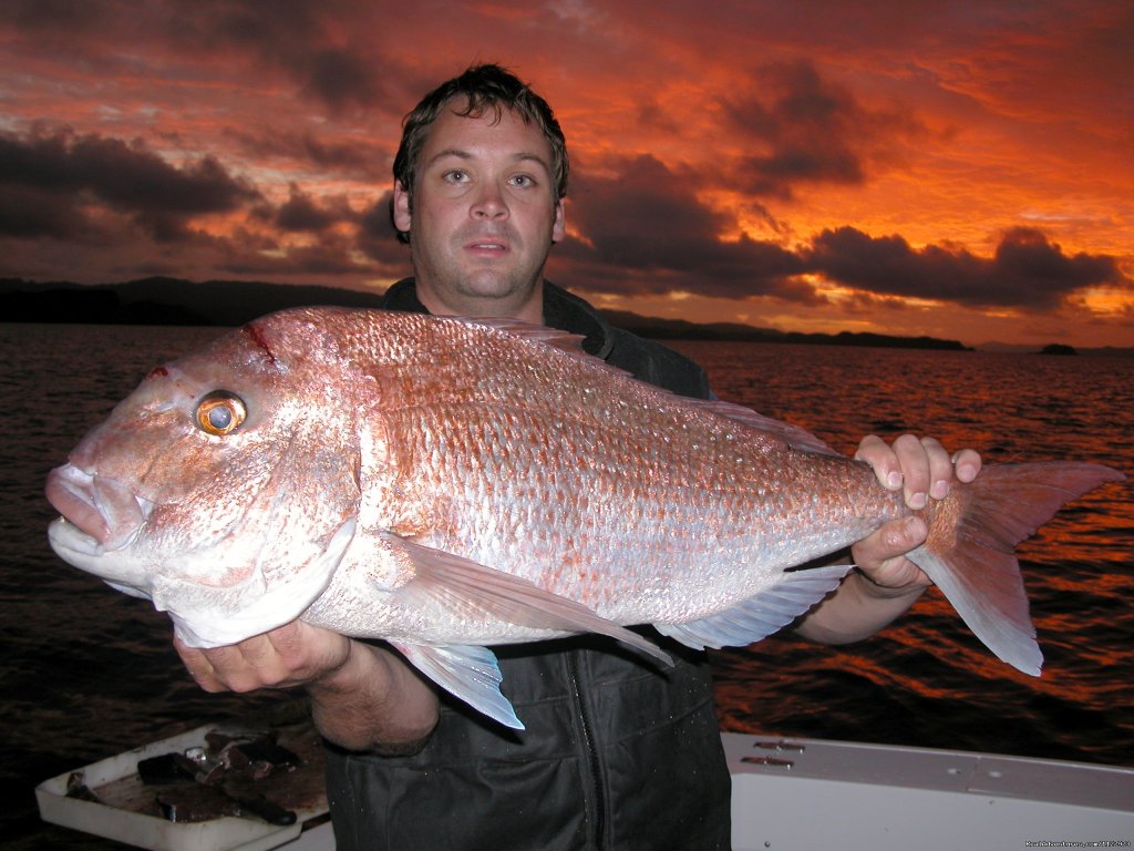 Snapper | Sportsfishing Charter Boat New Zealand | Image #6/7 | 