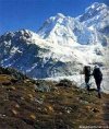 For Tours, Trekking, Hotel Booking and more...... | Kathmandu, Nepal