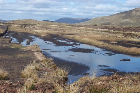 Connemara & Galway Bay Tours
