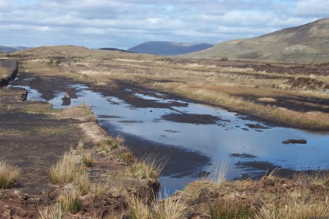 Connemara & Galway Bay Tours