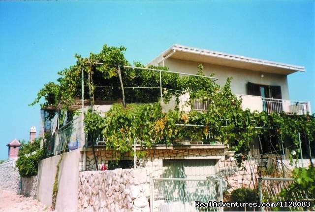Apartments Vukusic - Sevid | Croatia, Apartments VUKUSIC in Sevid | Image #2/23 | 
