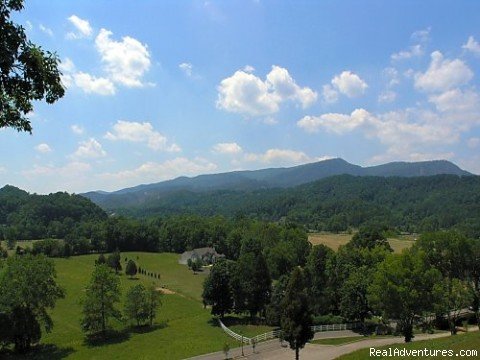 View | Everyone Deserves To Step Into Paradise! | Pigeon Forge, Tennessee  | Vacation Rentals | Image #1/1 | 