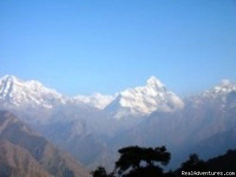 Exotic Himalaya | Visit Incredible India to Explore More! | Image #2/4 | 