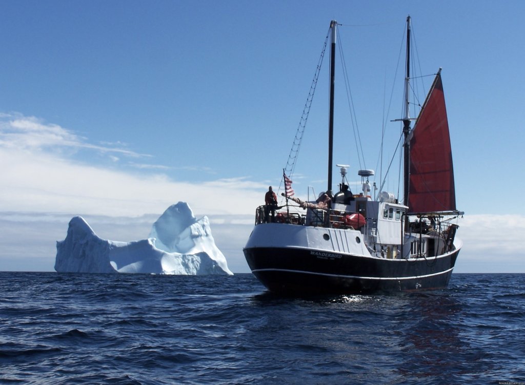 Eco Sailing Expeditions | Image #10/11 | 