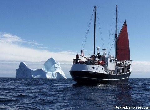 Wanderbird Expeditions | Eco Sailing Expeditions | Belfast, Maine  | Eco Tours | Image #1/11 | 