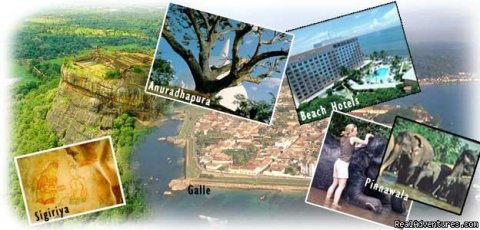 We offer tour & vacation packages in Sri lanka and also we plan tours/vacations according to your exact requirements. Visit our site for more information.