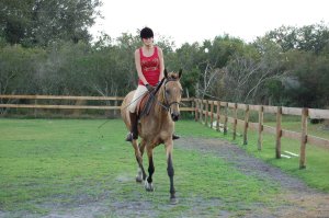 Horse back vacation near Myakka National Park | Myakka City, Florida Vacation Rentals | Sarasota, Florida