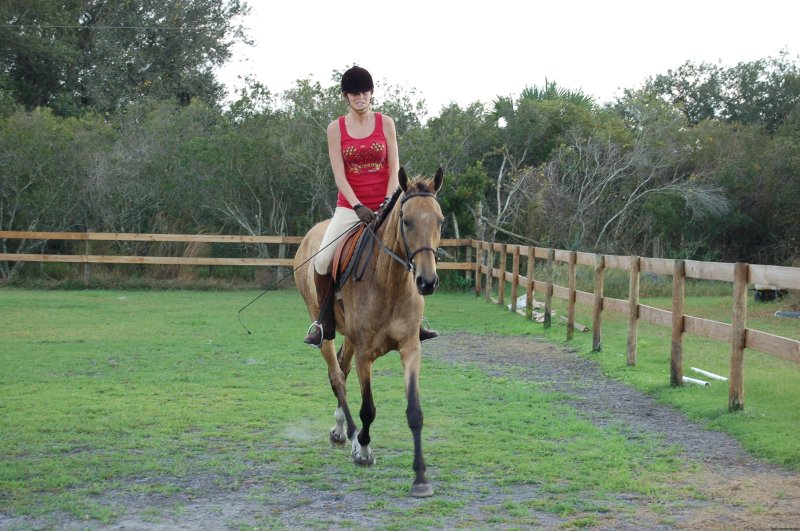 Horse Back riding vacation for beginners | Horse back vacation near Myakka National Park | Myakka City, Florida  | Vacation Rentals | Image #1/2 | 