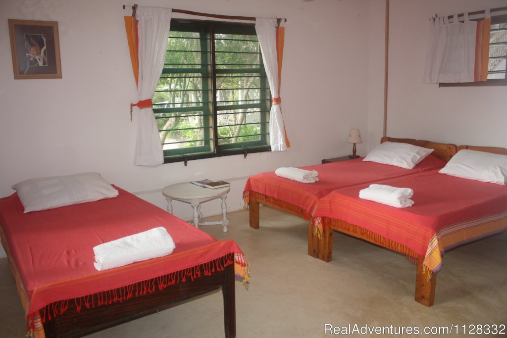Our triple rooms | Eco adventure at Watamu Kenya | Image #6/10 | 