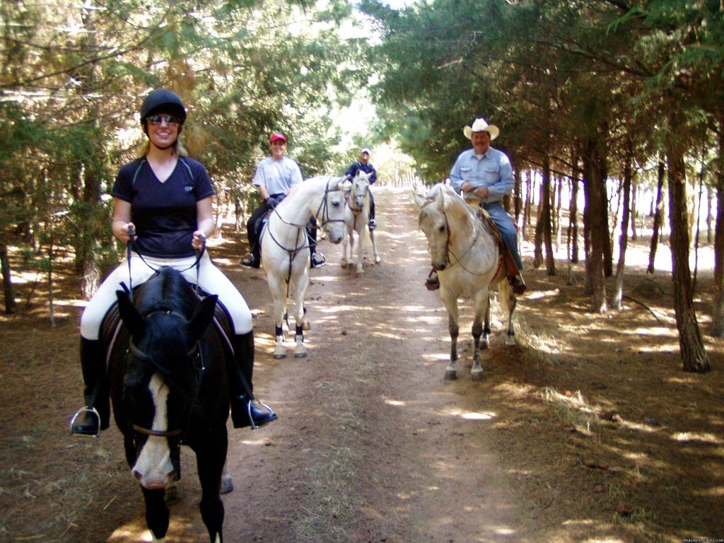 Photo #3 | Horse riding Holiday in Mexico | Image #3/7 | 